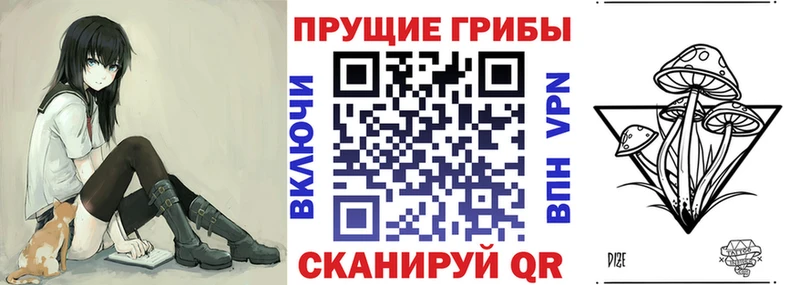 Псилоцибиновые грибы мицелий Купить закладки Инза
